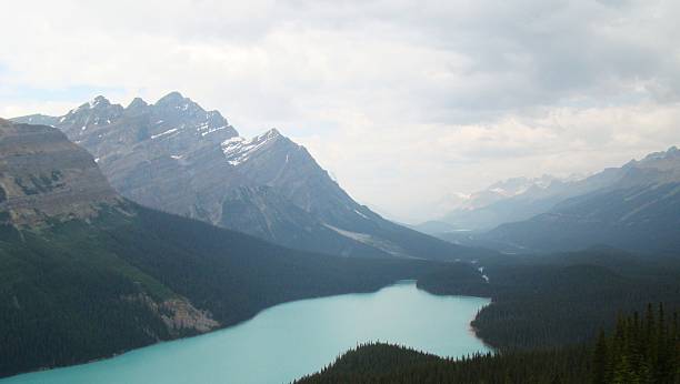 istock Foggy Peyto Lake 464405503