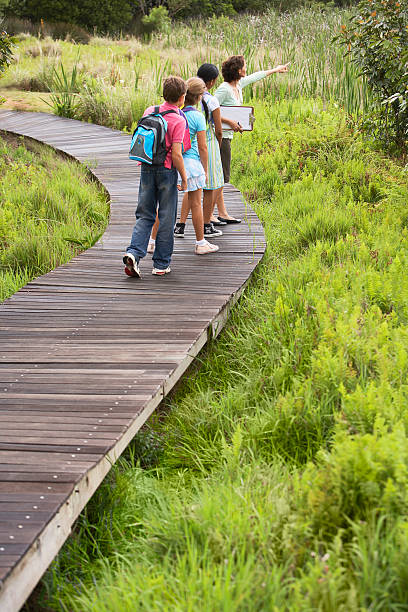 istock Teacher With Children On Field Trip 464406166