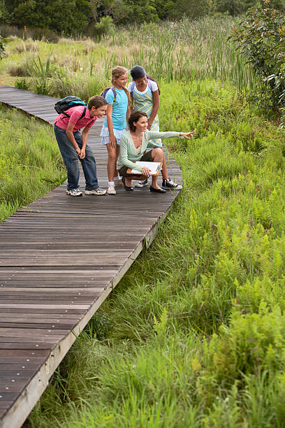 istock Teacher With Children On Field Trip 464406168