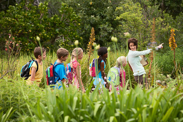 Teacher With Children On Field Trip Young teacher with children on nature field trip field trip stock pictures, royalty-free photos & images