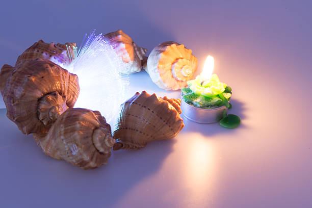 Colorfull cockleshells and candle