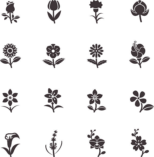 Flower Icons for Pattern Flower Icons for Pattern with White Background german chamomile nature plant chamomile plant stock illustrations