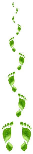 istock Water drop on green footprint 464417763
