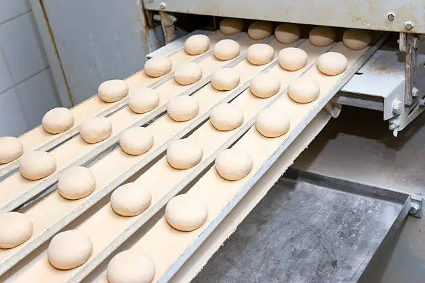 Production line with semi-finished buns on a resting conveyor belt. Dough needs to rest befor baking.