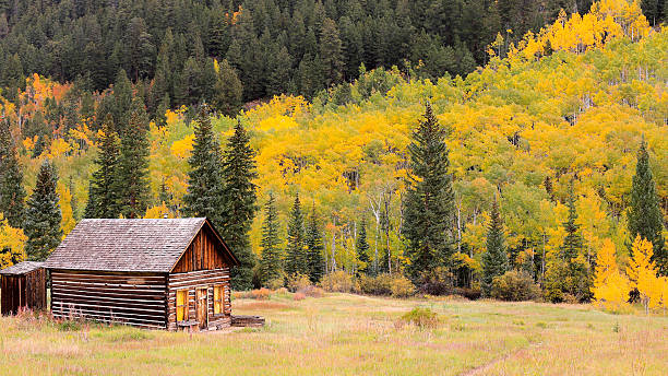 istock Ashcroft Ghost Town with Autumn Aspen Trees 464420902