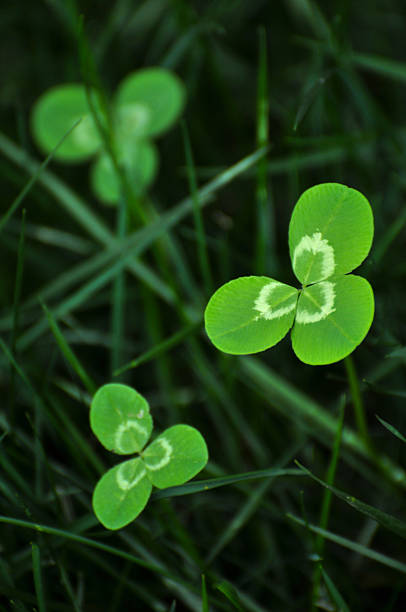 istock Beauty in nature 464420953