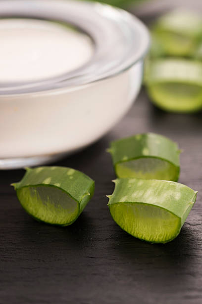 istock aloe vera - leaves and cream 464423890