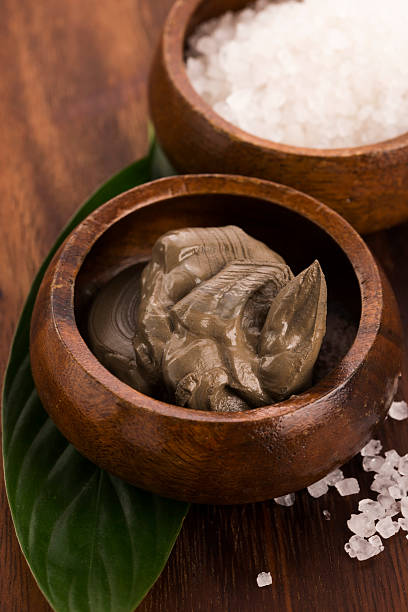 istock Dead Sea mud and salt in a bowl 464426700