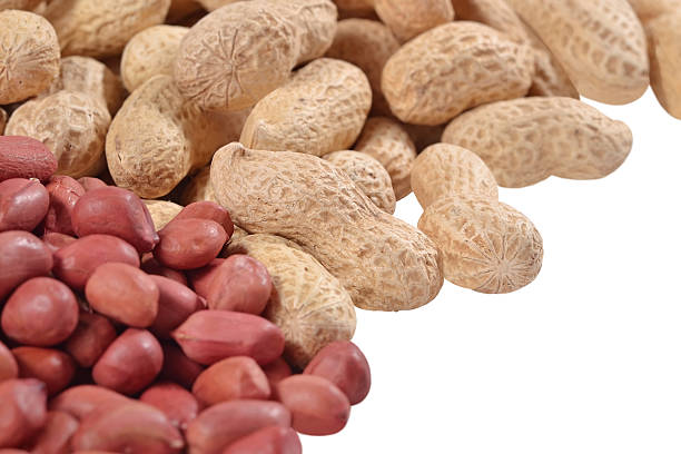 minier de cacahuètes sur un blanc - peanut legume textured effect fat photos et images de collection