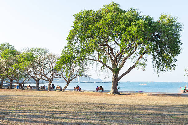 istock view of Sichang island, Thailand. 464430250