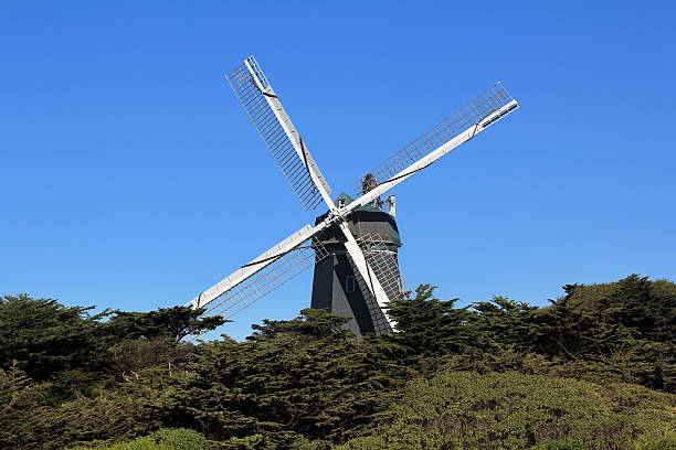istock Windmill in Golden Gate Park 464437235