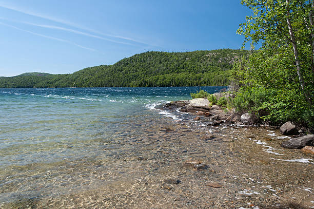 istock Nature of Ontario 464440960