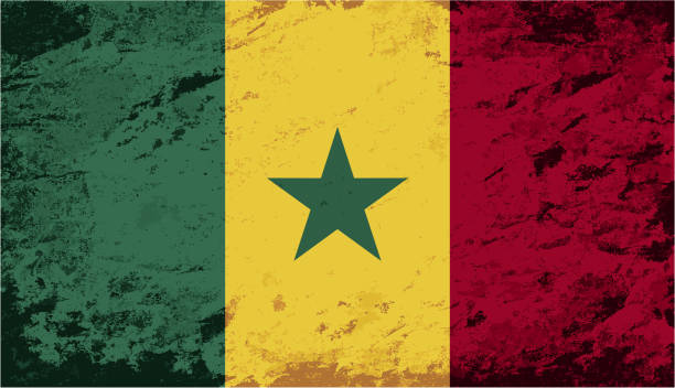 ilustrações, clipart, desenhos animados e ícones de senegalês bandeira. fundo grunge. vetor ilustração - senegal flag dirty africa