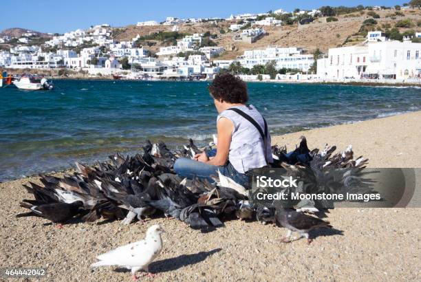 Feral Pigeons In Mykonos Town Greece Stock Photo - Download Image Now - 2015, Active Seniors, Adult