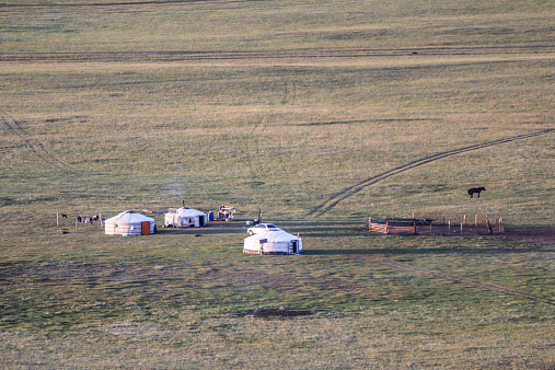 Tsonzhiyn Boldog, Mongolia - August 10, 2014:  Yurt Tents in the monoglian steppes. Mongolian flag is fluctuating at the entrance of the Yurt.