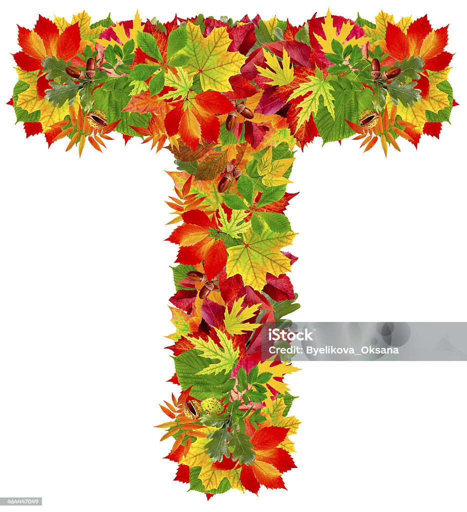 T, alfabeto outono - Foto de stock de Letra T royalty-free