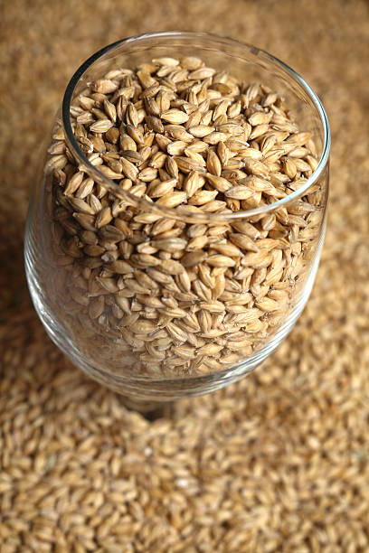 istock Glass of malt 464447254