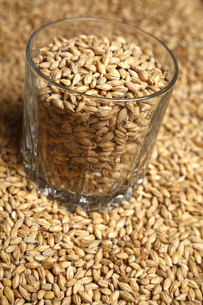 istock Glass of malt 464447258