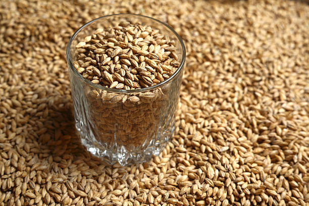 istock Glass of malt 464447262
