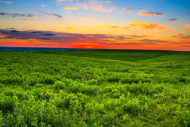 Sunset over the Kansas Flint Hills Sunset over the prairie land that is so important to the ranchers in the Flint Hills of Kansas.  Kansas is also known to be one of the top 10 places in the world for sunsets. kansas photos stock pictures, royalty-free photos & images