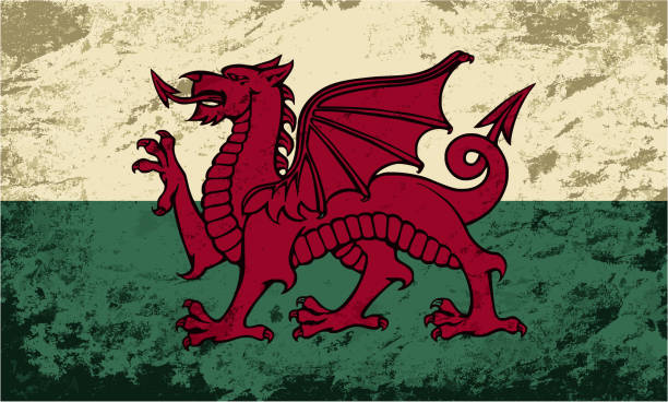 ilustraciones, imágenes clip art, dibujos animados e iconos de stock de bandera de gales. grunge fondo. ilustración vectorial - welsh flag