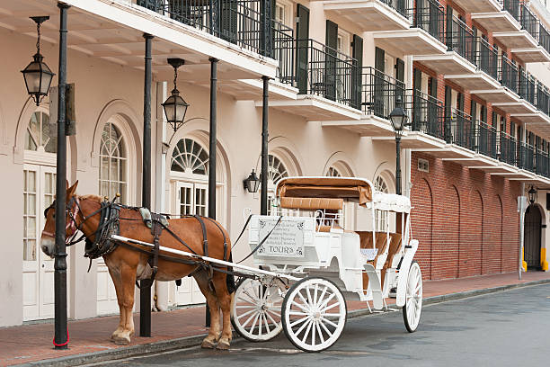 French Quarter Tour Elegant horse-drawn carriage in French Quarter, New Orleans carriage photos stock pictures, royalty-free photos & images
