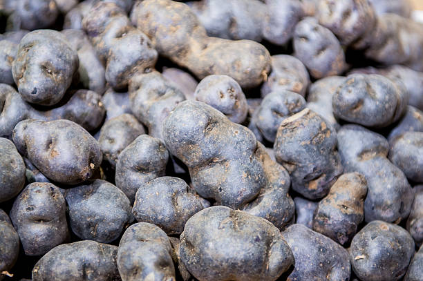 istock Heap of purple potatoes close up 464450480
