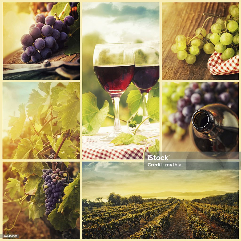 collage de vino del país - Foto de stock de Agricultura libre de derechos