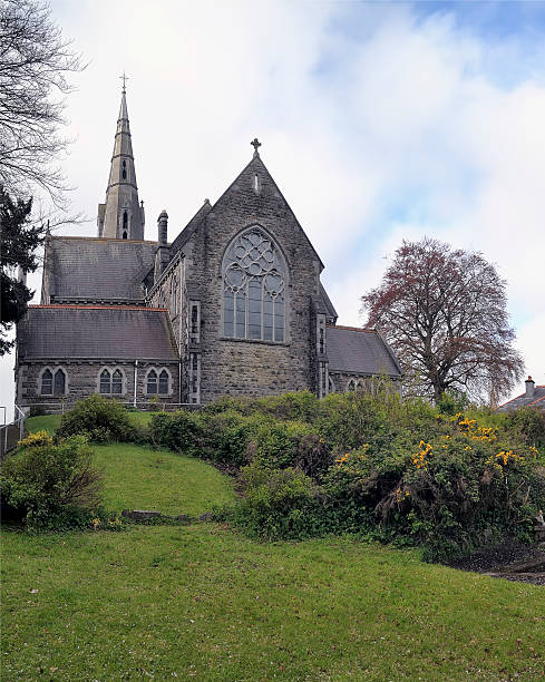 istock St Patrick's church at Trim city 464459717