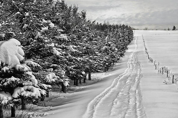 istock HDR, Canadian winter road among trees covered with a snow 464459789