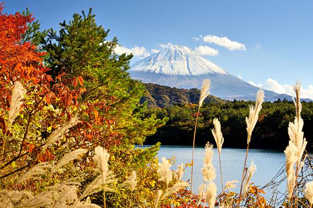 istock Mt. Fuji at Lake Saiko 464460477
