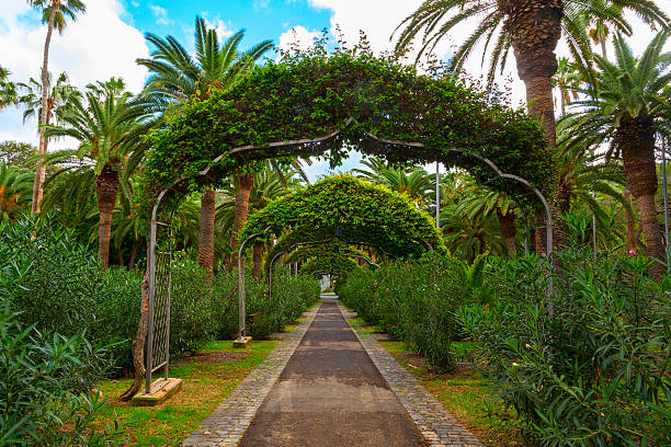 istock santa cruz garden 464461100