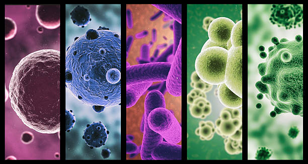 Multi-colored microbes A combined image of various micro organisms in colorhttp://195.154.178.81/DATA/istock_collage/0/shoots/785093.jpg bacterium stock pictures, royalty-free photos & images
