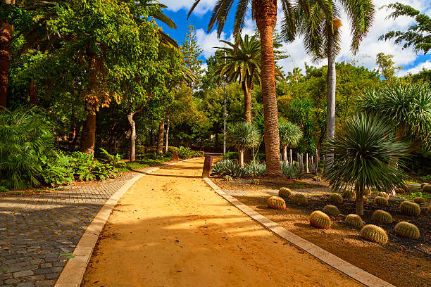 istock santa cruz garden 464470072