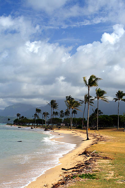istock Mokoli’i, O'ahu, Hawaii 464470980