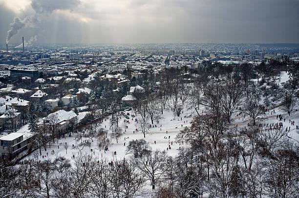 Vineyard, Serbia, Winter, Snow