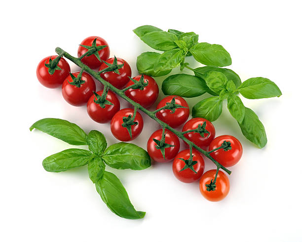 istock Leaves of basil and tomatoes cherry 464479112