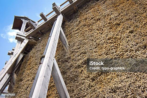 Vista Di Una Torre Di Laurea - Fotografie stock e altre immagini di Alito - Alito, Ambientazione esterna, Centro benessere - Stabilimento termale