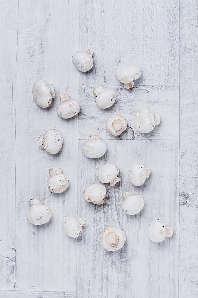 White button mushrooms stock photo