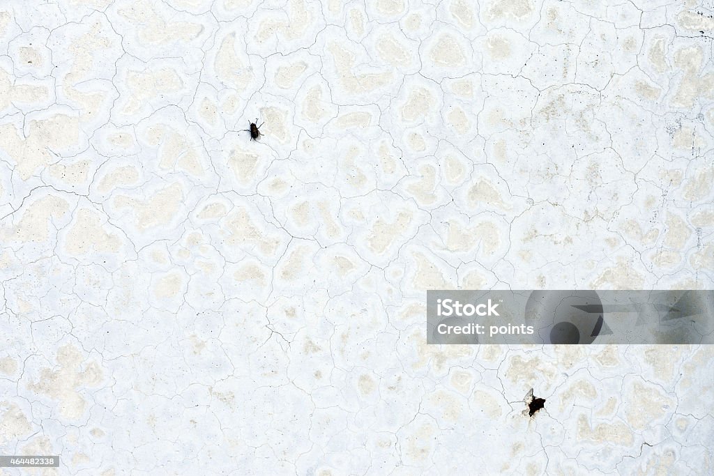 Grungy white concrete wall background Grunge white background Cement old texture wall 2015 Stock Photo