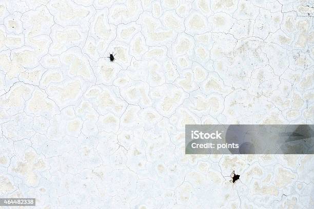 Grungy White Concrete Wall Background Stock Photo - Download Image Now - 2015, Abstract, Architecture