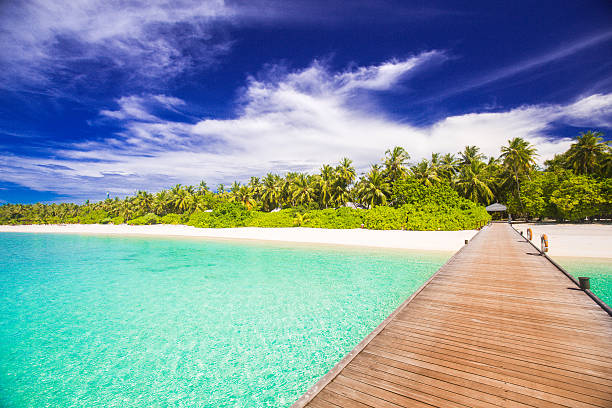 istock Entrance to tropical paradise 464482578