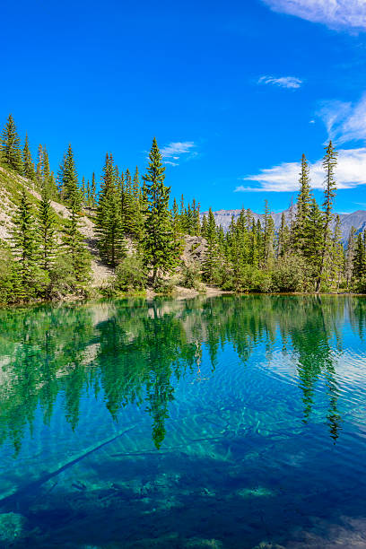 istock View of Grassi Lake, Canada in the summer 464484690
