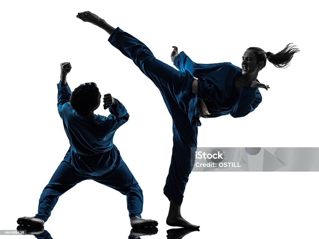 karate vietvodao martial arts man woman couple silhouette one man woman couple exercising karate vietvodao martial arts in silhouette studio isolated on white background Martial Arts Stock Photo