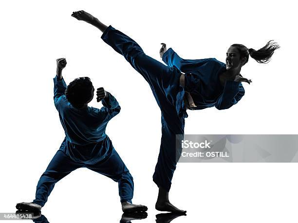 Karate Vietvodao Martial Arts Man Woman Couple Silhouette Stock Photo - Download Image Now