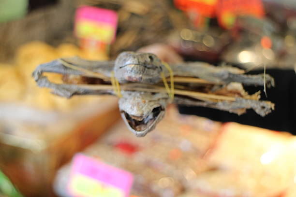 Dried Gecko (alternative medicine) sold in a Chinese store.