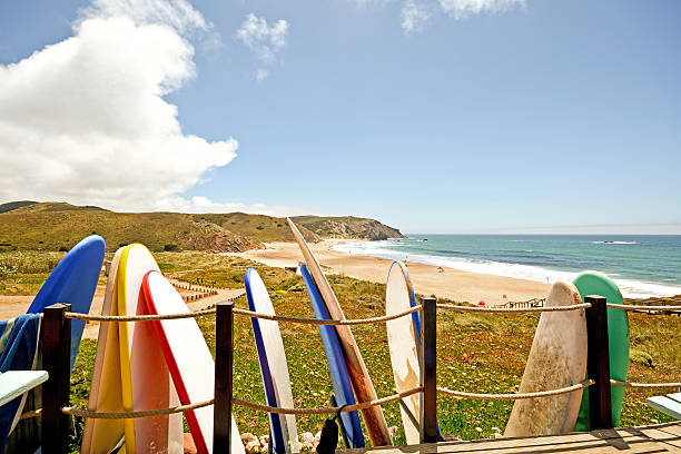 praia do amado, della spiaggia e del surf spot, algarve portogallo - sagres foto e immagini stock