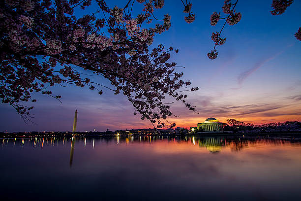 istock Washington Monument and Jefferson Memorial with Tidal Basin at Sunrise 464491936