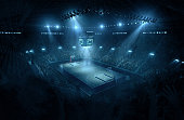 Basketball arena