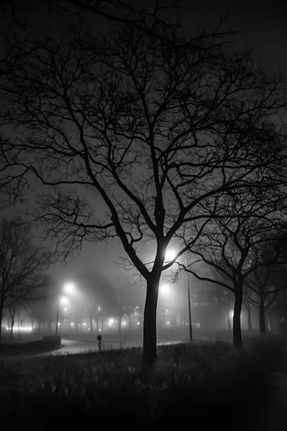 istock Street on a foggy night lighted up 464496898